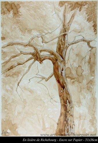 Perdu sur les bords de Charente