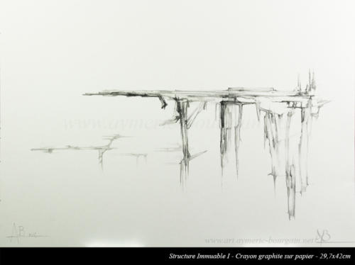 Structure Immuable I