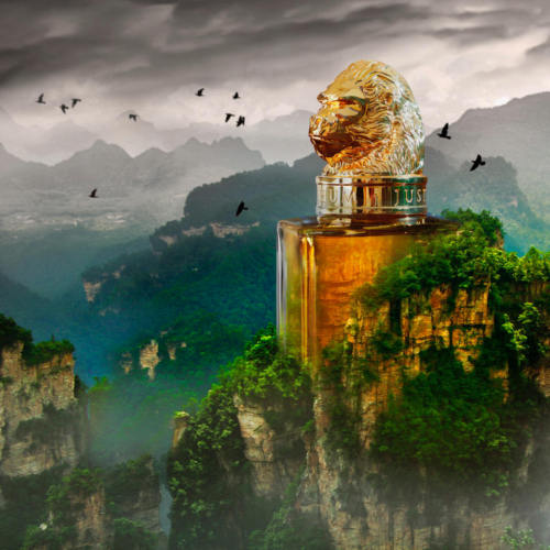 Just for Kings - le Gorille/Rhum affiche