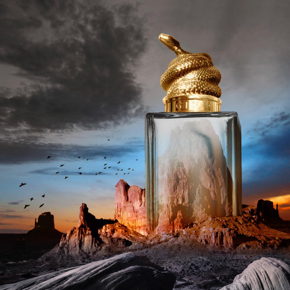 Just for Kings - le Python/Gin affiche